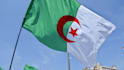 help you learn algerian arabic