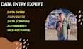be data entry specialist web research and data research work