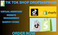help with set up tik tk shop, drop shipping, store analysis, store management