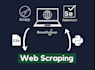 do web scraping,google maps scraping,python script,web automation,data scraper