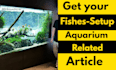 write experienced article on aquarium and fish
