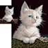 turn your pet picture into retro art