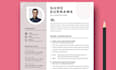 build professional resume design and CV layout