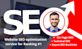 do website SEO optimization service ranking wordpress, wix, shopify, squarespace