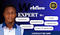 build webflow website design webflow redesign webflow website expert fix webflow