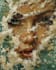 paint digital oil paintings