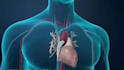 do 3d medical animation anatomy biotech scientific moa pharma 3d explainer video