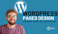 design your professional website in wordpress