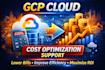 provide google cloud cost optimisation support