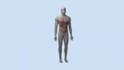create 3d medical video cancer treatment moa immunotherapy pharma animation