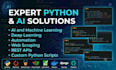 build custom python scripts web scraping dl automation apis
