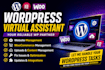 be your wordpress virtual assistant for any type of wp tasks
