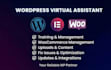 be your wordpress virtual assistant for any type of wp tasks