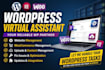 be your wordpress virtual assistant for any type of wp tasks