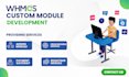 create custom basic or advanced whmcs module development