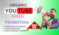 do promote your youtube video to targeted audience