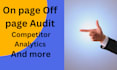 provide  technical seo  website audit website analysis  action plan