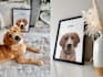 create dog ugc video ads or photo with my golden retriever