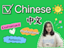 help you learn authentic chinese