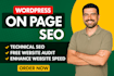 do advanced on page SEO optimization for wordpress and shopify websites