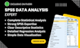 spss qualitative, descriptive data analysis, data visualization expert