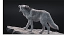 do any 3d animal model 3d animation 3d creature 3d character animation cgi vfx