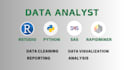 do data cleaning, analysis, visualization using r, rstudio, python, sas, spss