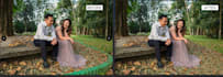 unlimited revisions combine, edit, remove items, manipulation, etc