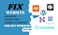 fix email issue, dns issues, website issues,  redirect domain for any website