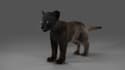 design 3d character, animal modeling, and 3d pet modeling