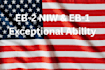 draft professional petition statement for eb2 niw and eb1