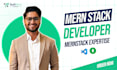 provide a dedicated mern stack developer monthly for web app development