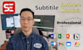 subtitle in teochew or cantonese or chinese
