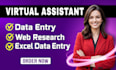do ecommerce data entry, web research, ms excel data entry within 12 hours