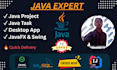 do java programming, projects, javafx and swing applications