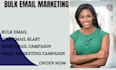 send bulk email campaigns and targeted email blasts for marketing results