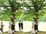 remove any unwanted objects or persons from your picture