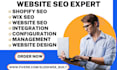 be your shopify expert for store design, speed optimization, shopify store SEO