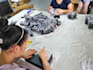 collect samples and do quality control,shipping services
