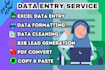 do excel data entry, PDF convert, b2b lead generation etc