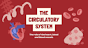 teach elementary, middle and highschool students biology