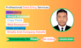 do data entry,copy paste,excel data entry,web reasearch