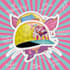design a cycling cap