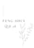 answer 2 questions about feng shui