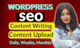be your content writer blog writer with blog upload