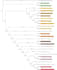 create the phylogenetic tree and biological data analysis