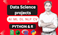 develop ml, nlp, ai, and data science projects using python and r