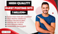 premium guest posting service on high da websites guest post