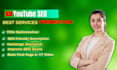 youtube SEO to rank your videos and grow organically