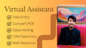 virtual data entry assistant for quick and accurate results